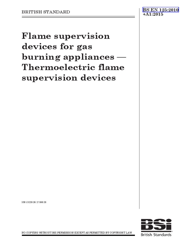 Flame Supervision Devices For Gas Burning Appliances Thermoelectric