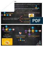 Asam Karboksilat Dan Ester