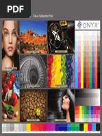 ONYX Quality Evaluation | PDF | Blue | Color