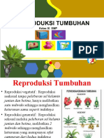 REPRODUKSI VEGETATIF DAN GENERATIF TUMBUHAN