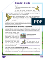 Garden Birds Differentiated Reading Comprehension Activity