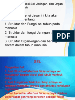 K.D. 3.7. Klasifikasi Sel, Jaringan, Dan Organ Tubuh Manusia