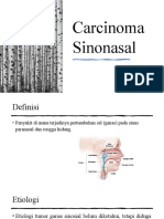 Carcinoma Sinonasal