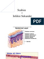 PBL Scabies + Infeksi Sekunder