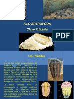 FILO ARTROPODA-Clase Trilobita