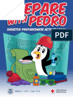 Pedro: Disaster Preparedness Activity Book