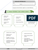 Clasificacion Animales Vertebrados