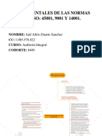 Mapa Mental - Auditoría Int