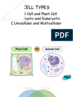 A.Animal Cell and Plant Cell B.Prokaryotic and Eukaryotic C.Unicellular and Multicellular