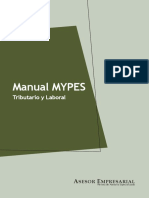 Manual Mypes