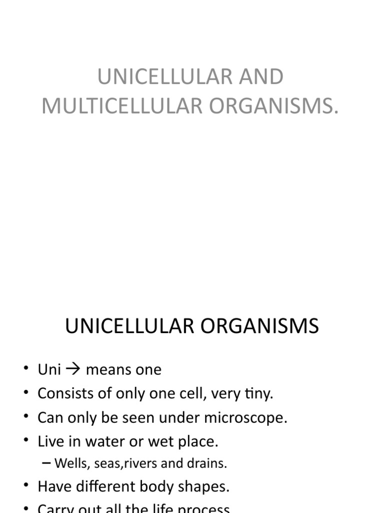 Multicellular Organisms Example