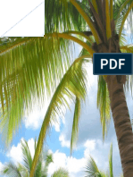 Palm+Tree+Tops+Free+Powerpoint+Content+Slide+PPT