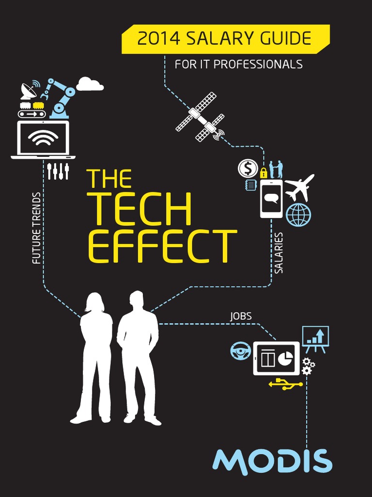 2014 Salary Guide For It Professionals PDF Programmer Graphical