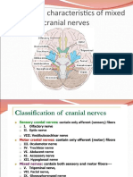 Anatomy of Trigeminal Nerve