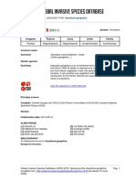 Asystasia Coromandeliana, Nees Justicia Gangetica, L