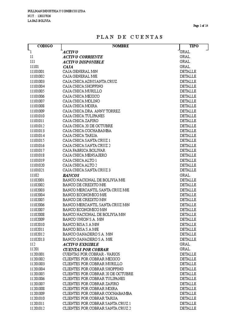 Plan de Cuentas de Pullman Ltda. | PDF | Bancos | Servicios financieros