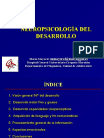 neuropsicologia