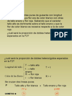 18 Problemas de Genetica Resueltos - Parte8