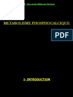 Cours de Biochimie Métabolisme Phosphocalcique Première Année Médecine Dentaire