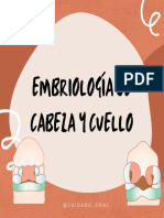 Embriologia de Cabeza y Cuello