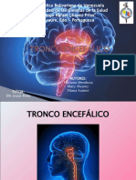 Diapositivas Mariana Tema 5