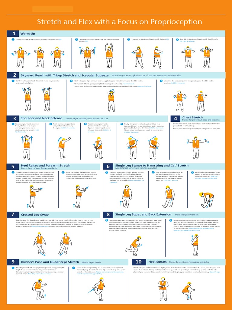 Stretch and Flex Poster, PDF, Anatomical Terms Of Motion