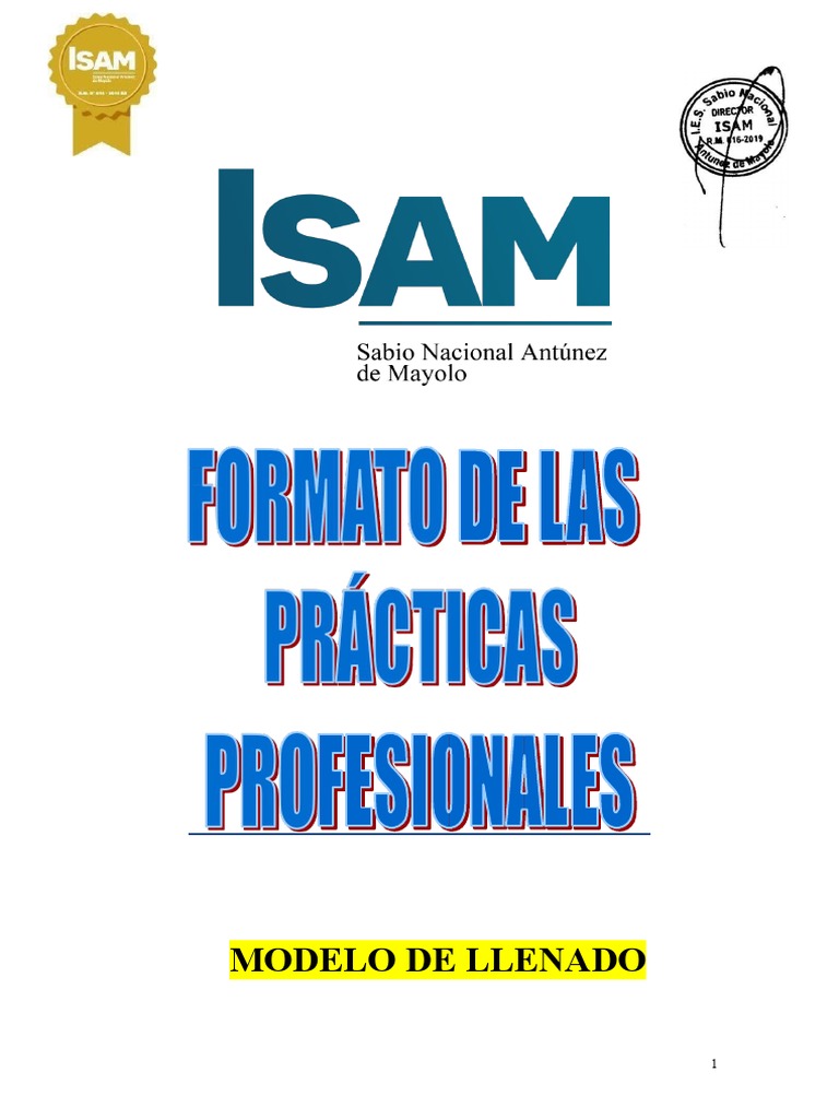 Modelo de Llenado de Formato de Prácticas 2020 | PDF | Empresas | Business
