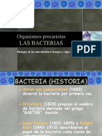 Bacterias