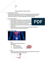 Rangkuman Materi Sistem Organ Perkemihan