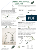 Infografia Perfil Cromatográfico Del Eucalipto