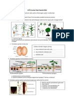 LKPD 01 Pertumbuhan