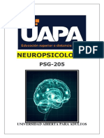 Tarea IV de Neuropsicologia