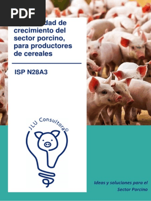 Ideas Y Soluciones Para El Sector Porcino Pdf Carne Cerdo Domestico
