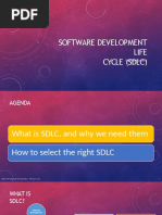 Software Development Life Cycle (SDLC) : Mohamed Sami