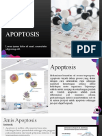 Apoptosis