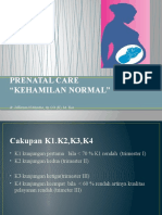 Prenatal Care "Kehamilan Normal": Dr. Jefferson N Munthe, SP - OG (K), M. Kes