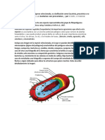 Asigne Al Grupo de Fitopatógenos Seleccionado