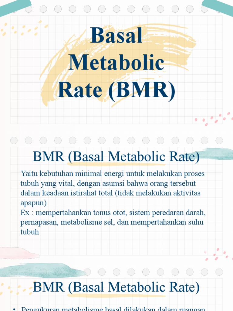 Pengertian dan Rumus BMR | PDF
