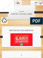 Protocolo de Servicio-1