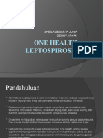 One Health Leptospirosis