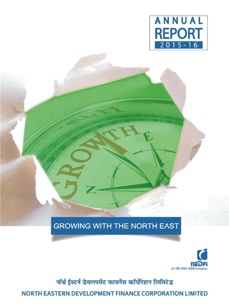 NEDFi AR 2015 16 | PDF