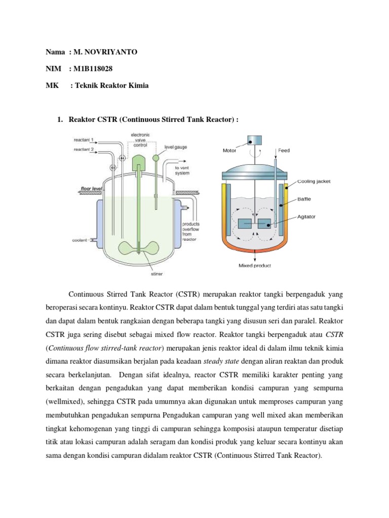 M. Novriyanto (M1B118028) - Teknik Reaktor Kimia | PDF | Teknologi ...
