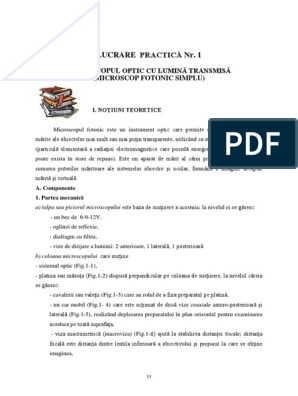 Biocel LP | PDF