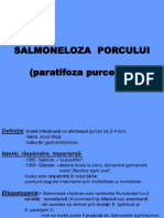 Curs Salmoneloza Porcului