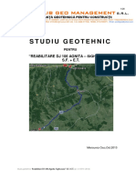 Studiu Geotehnic DJ106