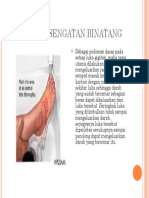 p3k materi_0021-0021