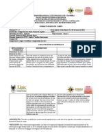 Protocolo Formato Diario de Campo PPIP 6