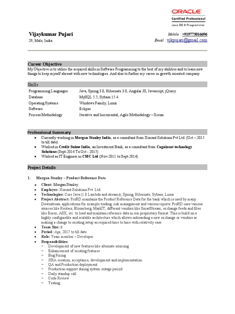 Software Developer Profile | PDF | Spring Framework | Software Engineering