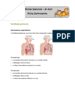 Hematose Pulmonar e Tecidular