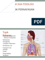 Sistem Pernapasan